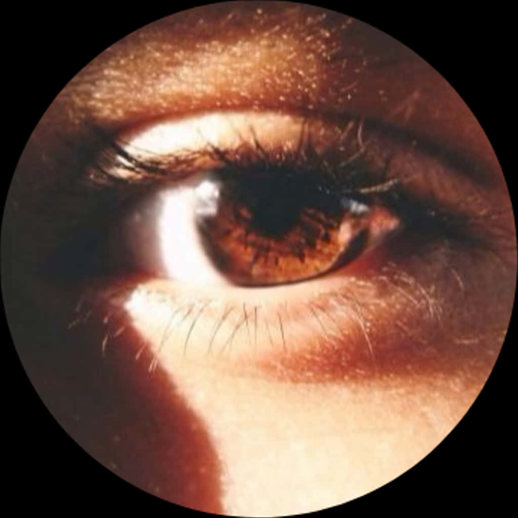 Closeup Human Eye Brown Iris PNG
