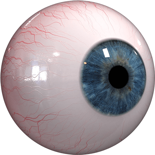 Closeup Human Eye Detail PNG