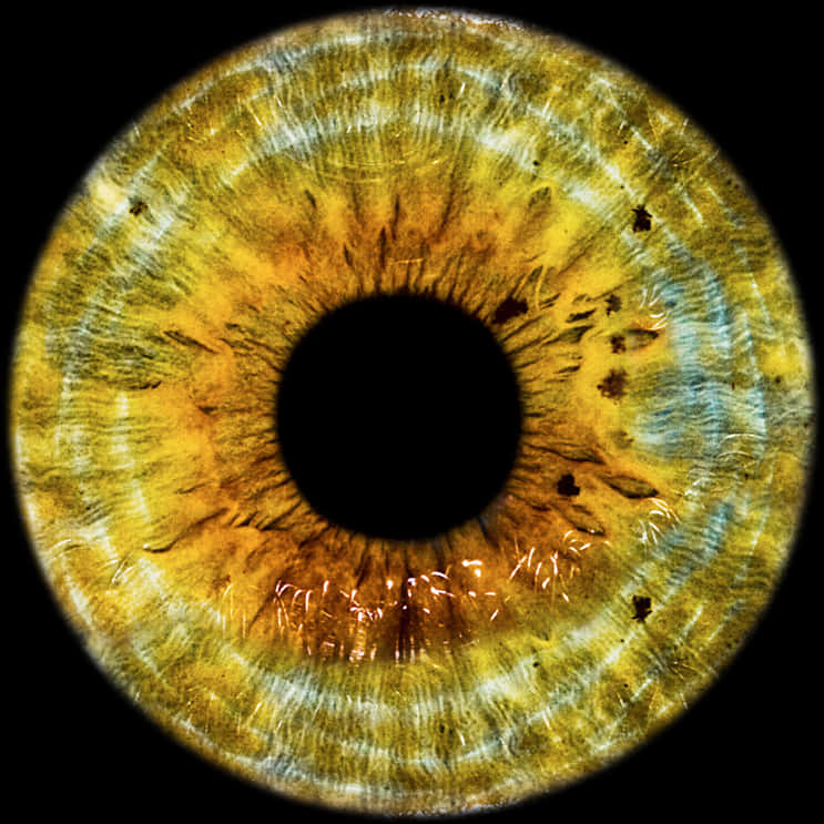 Closeup Human Eye Iris Texture PNG