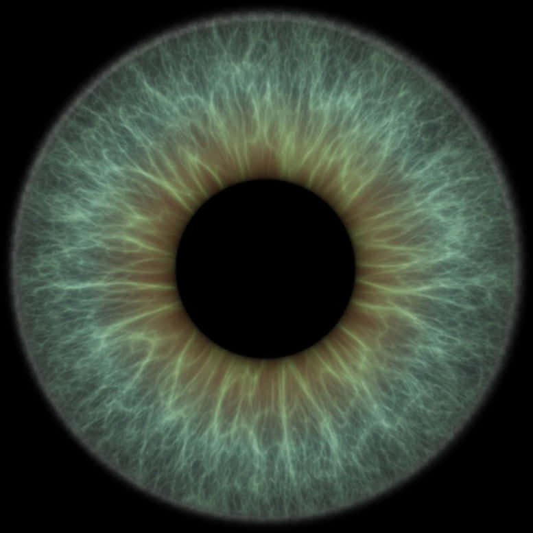 Closeup Human Iris Texture PNG