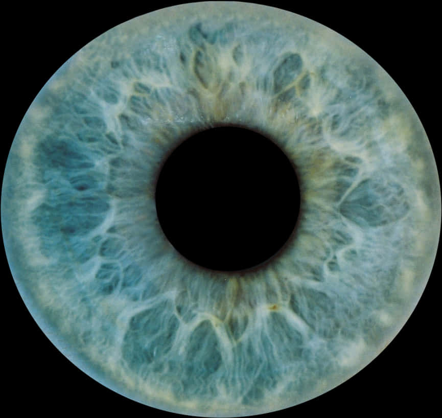 Closeup Human Iris Texture PNG