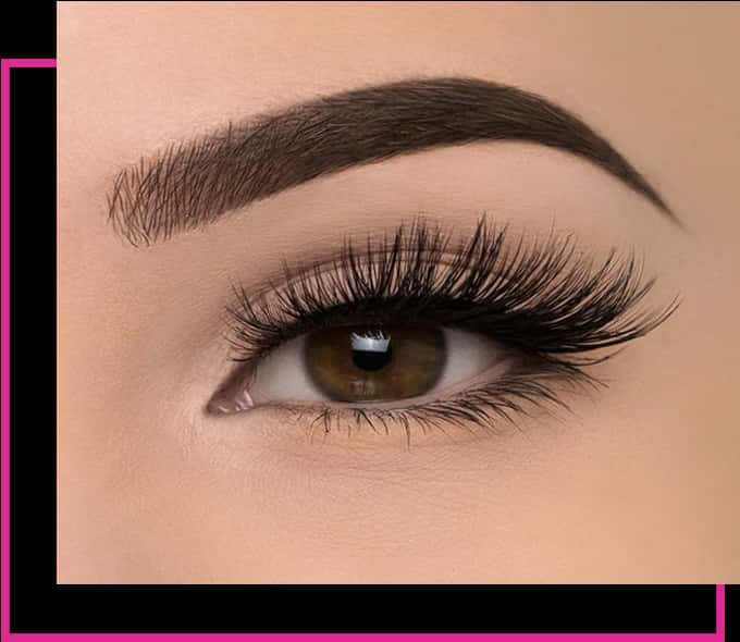 Closeup Perfect Eyebrowsand Lashes PNG