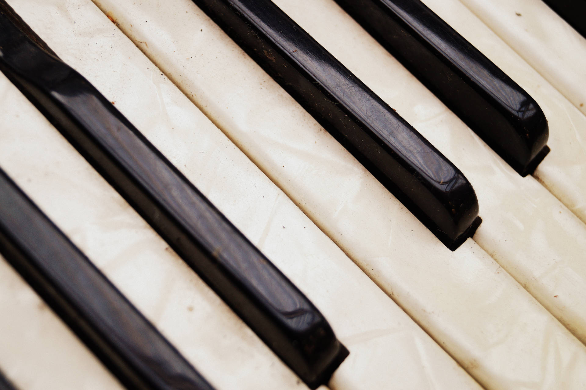 Closeup Piano Keys SVG