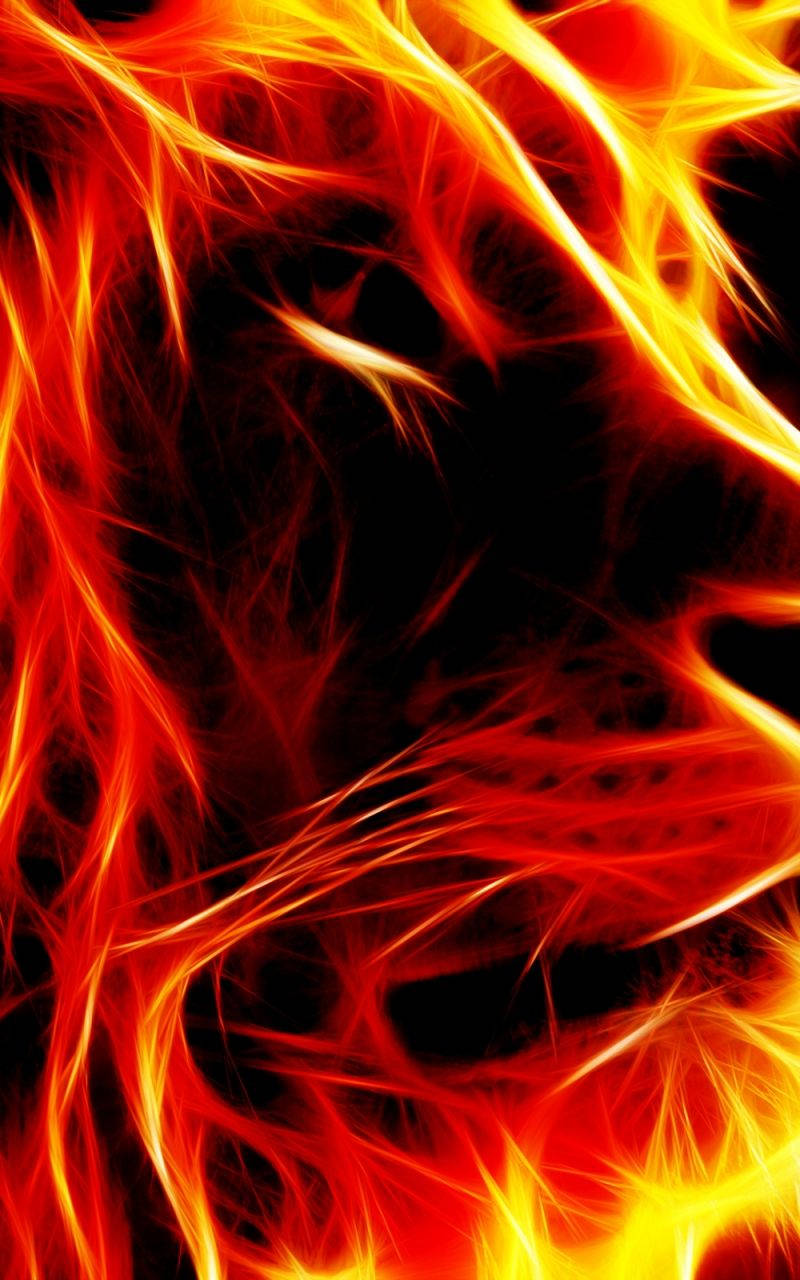 Closeup Side Profile Fire Lion Wallpaper