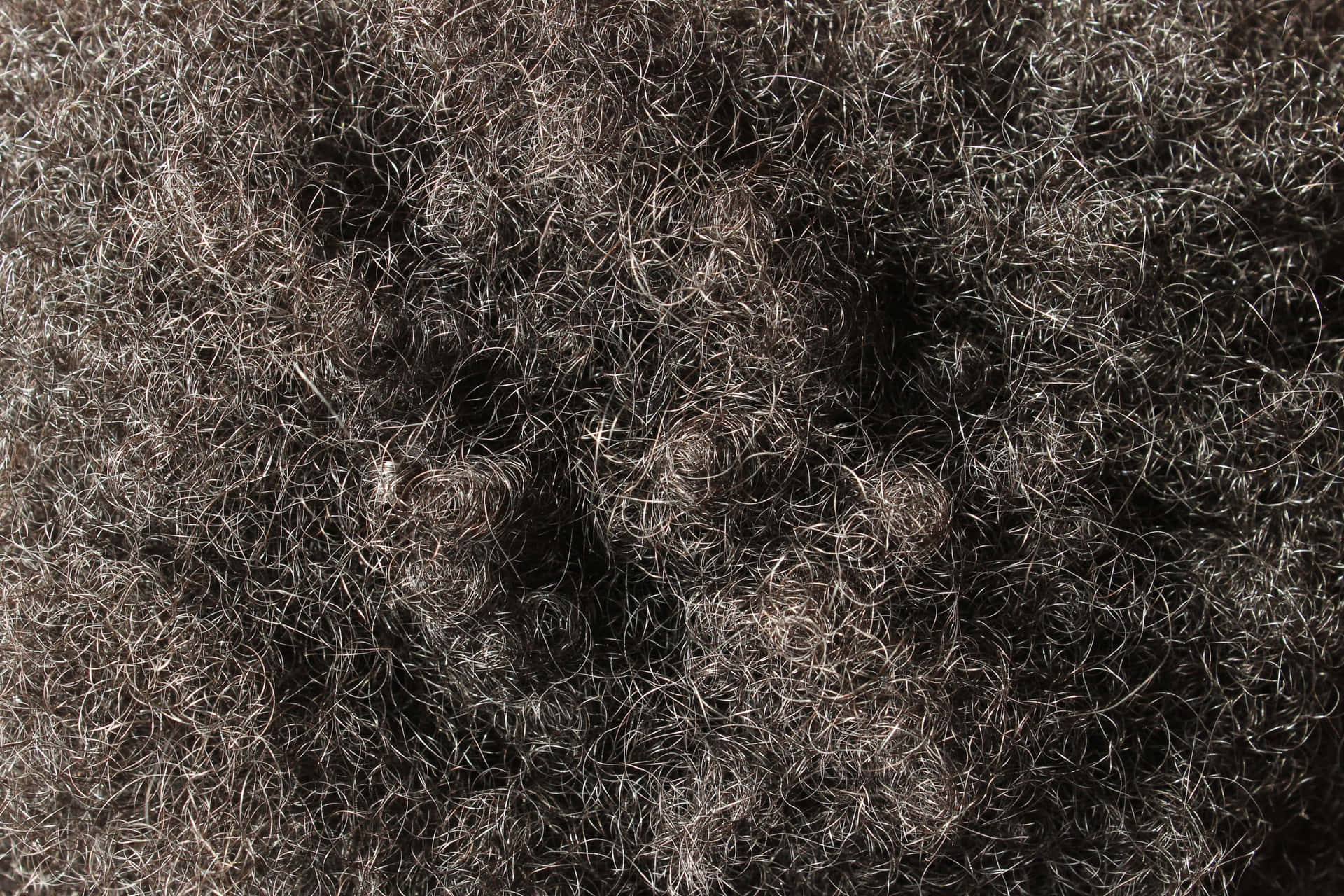 Closeup Textured Black Hair Wallpaper