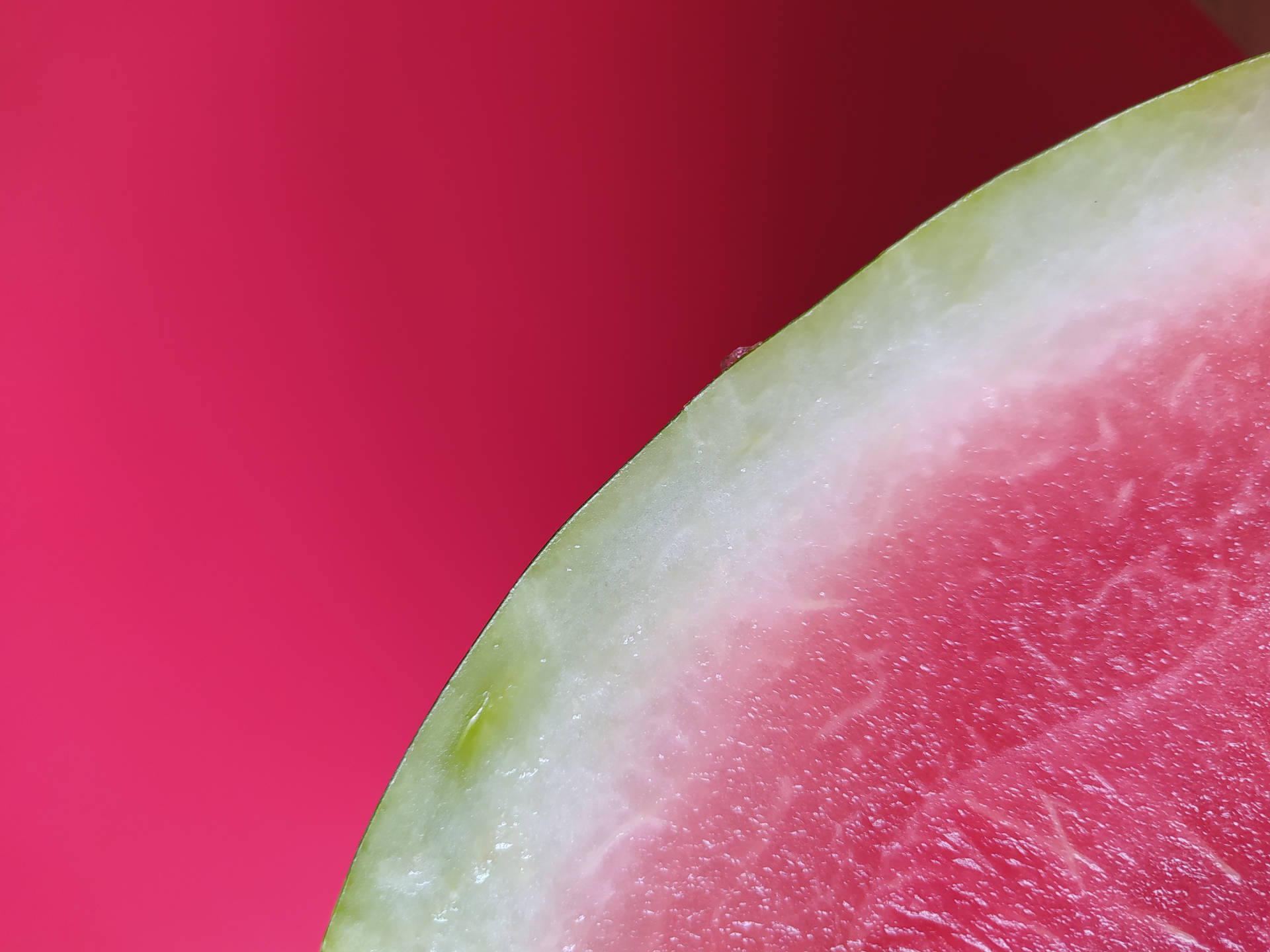 Closeup Watermelon Edge Wallpaper