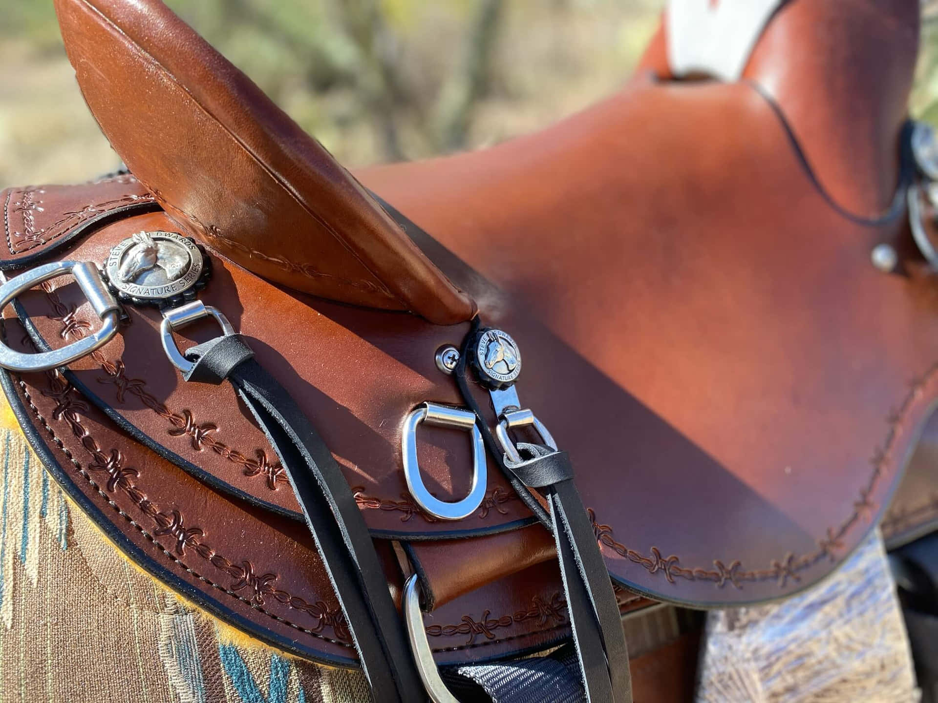 Close-up Van Paardenzadel En Tuig Achtergrond