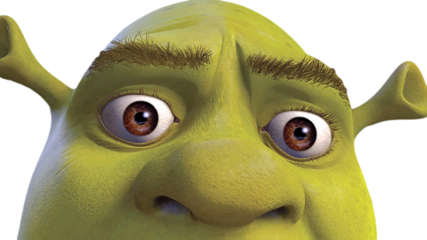 Closeupof Shrek Face PNG