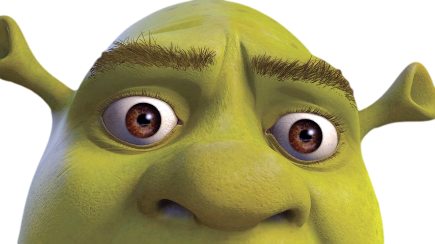 Download Closeupof Shrek Face | Wallpapers.com