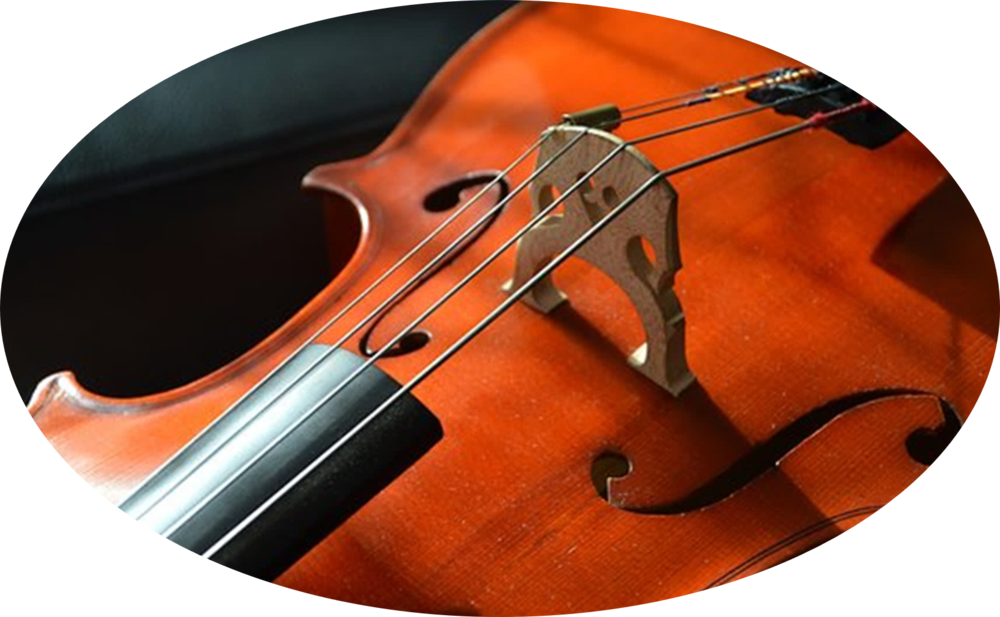 Closeupof Violinand Bow PNG