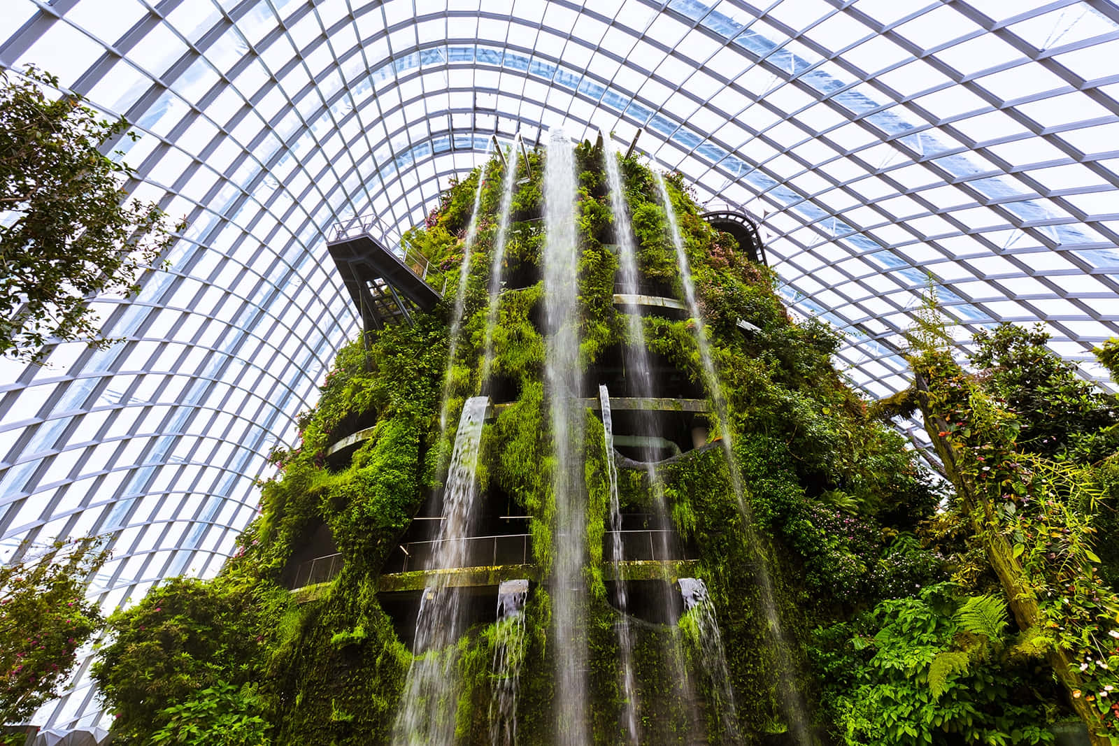 Cloud Forest Waterfall Gardens By The Bay Wallpaper