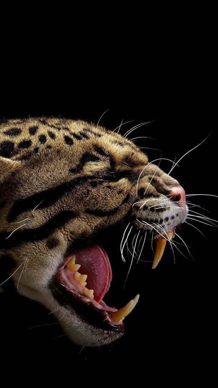 Clouded Leopard Yawning Portrait Wallpaper