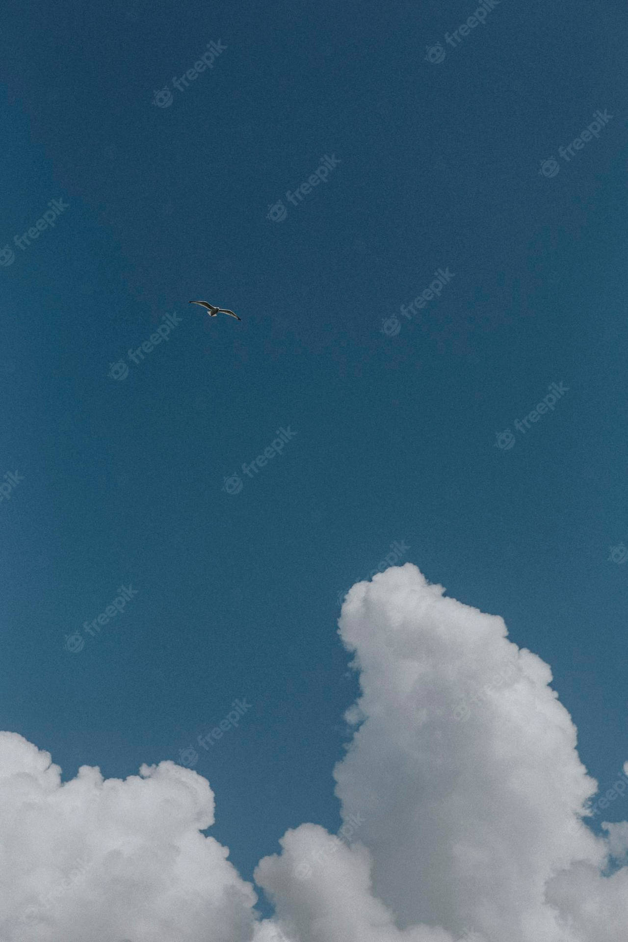 Einflugzeug, Das Am Himmel Fliegt Wallpaper