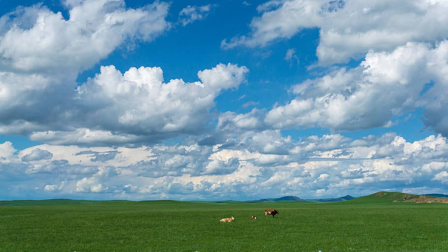 Skyen Dag i Mongoliet's Område Wallpaper