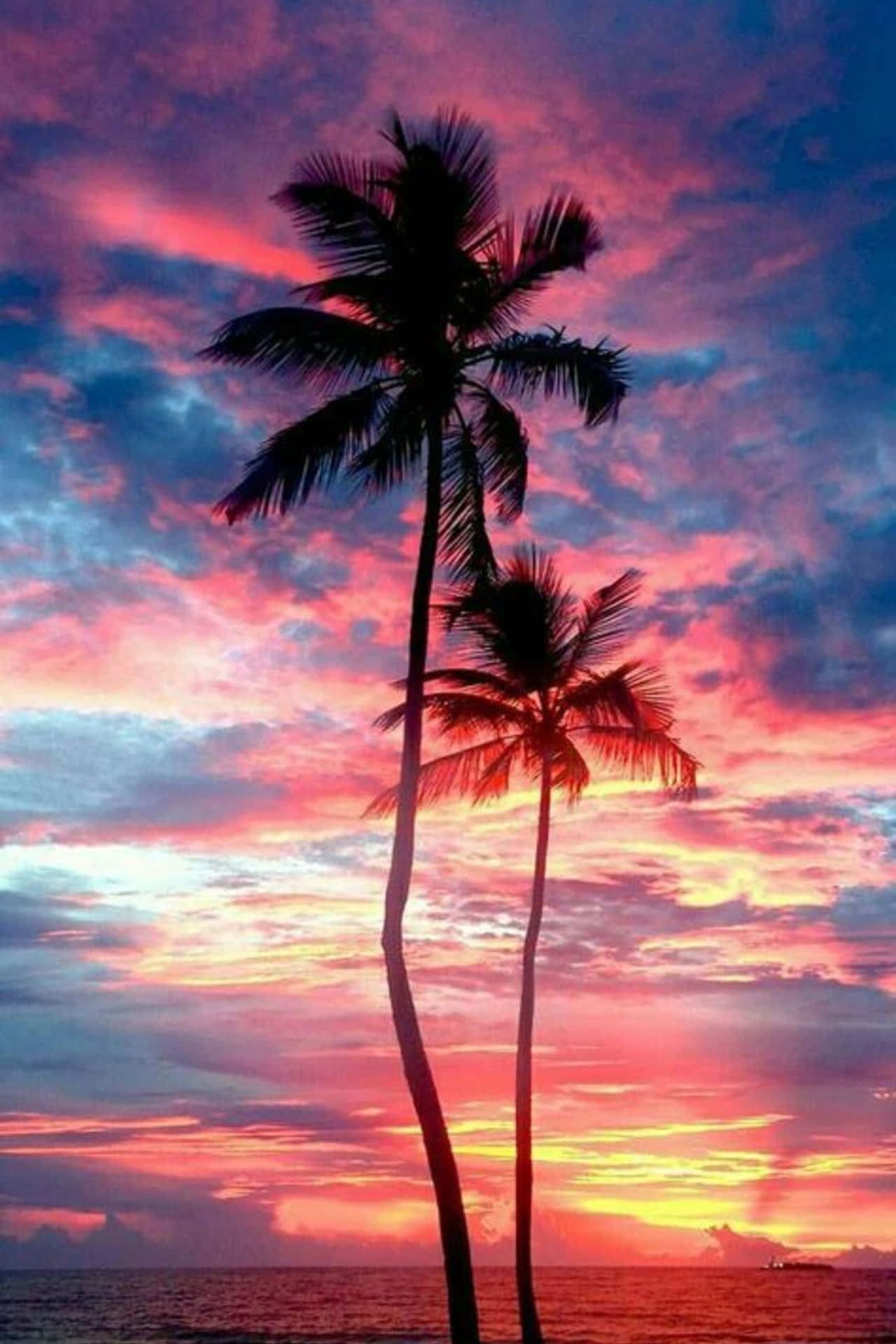 Cloudy Sky Sunset With Palm Tree Wallpaper