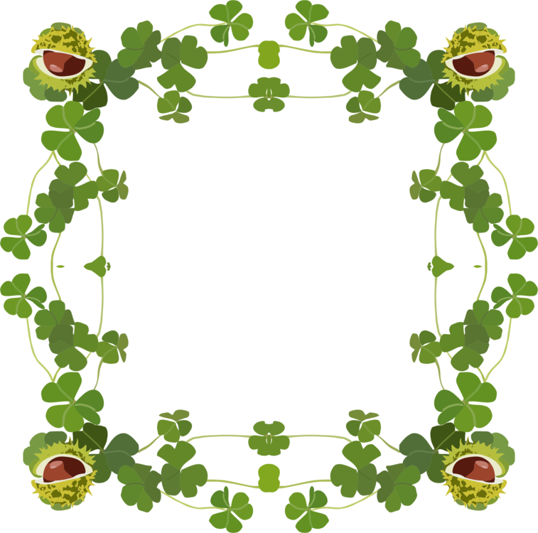 Clover_ Frame_with_ Smiling_ Flowers.png PNG