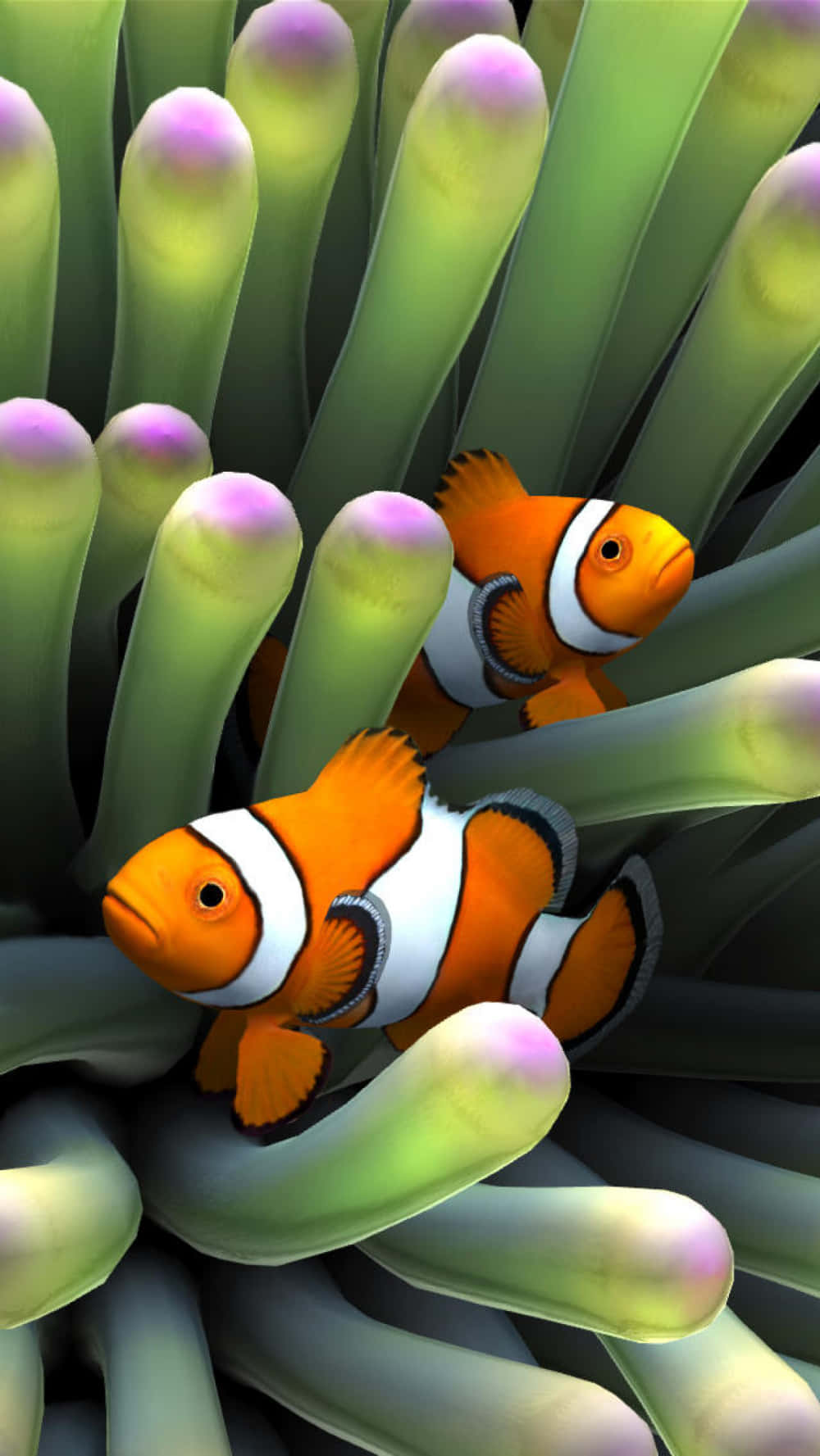 En livlig klovnfisk svømmer midt i et akvarium af livlig koral. Wallpaper