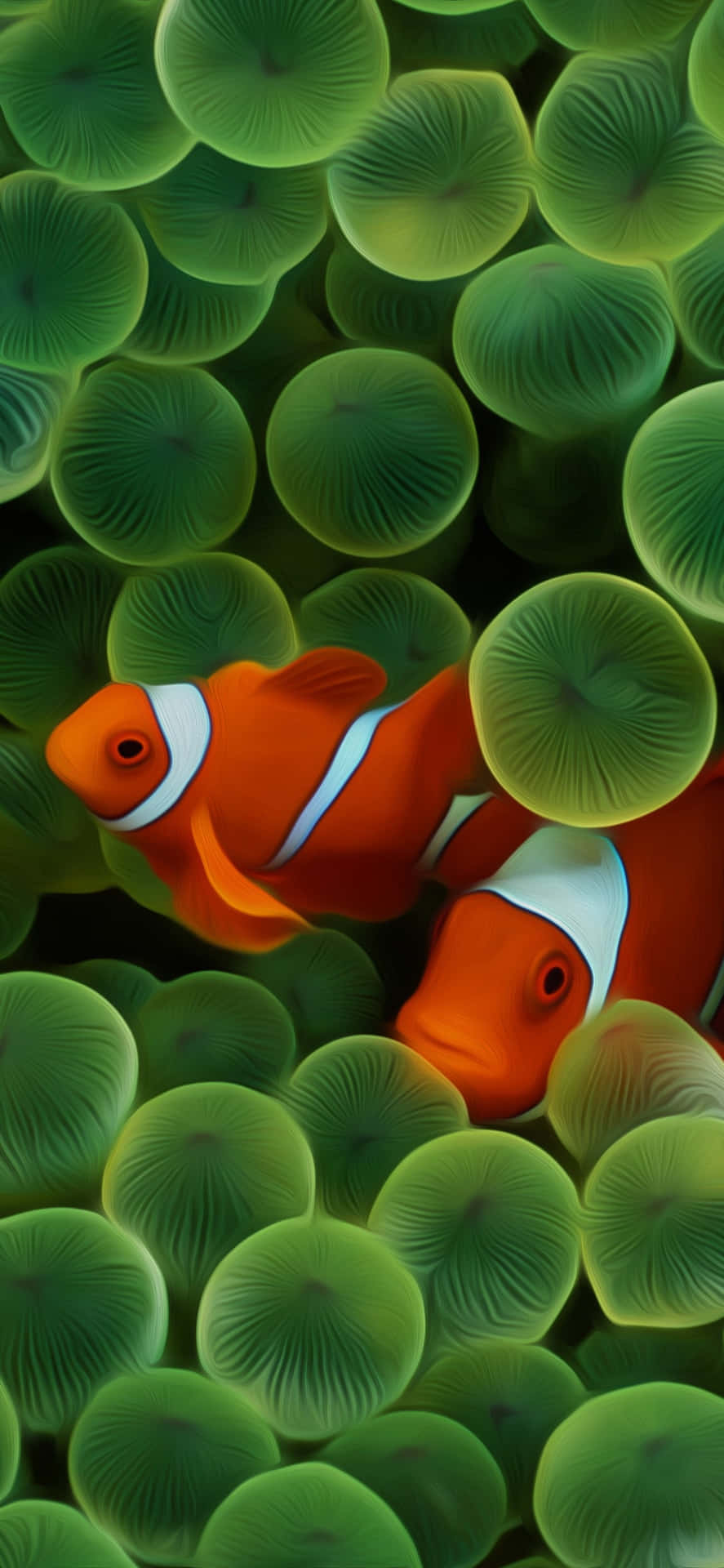 Clown Fish Iphone Green Aesthetic Eggs Background