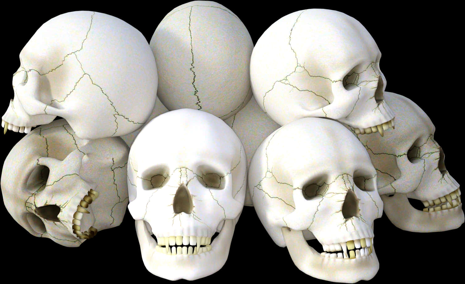 Clusterof Human Skulls PNG