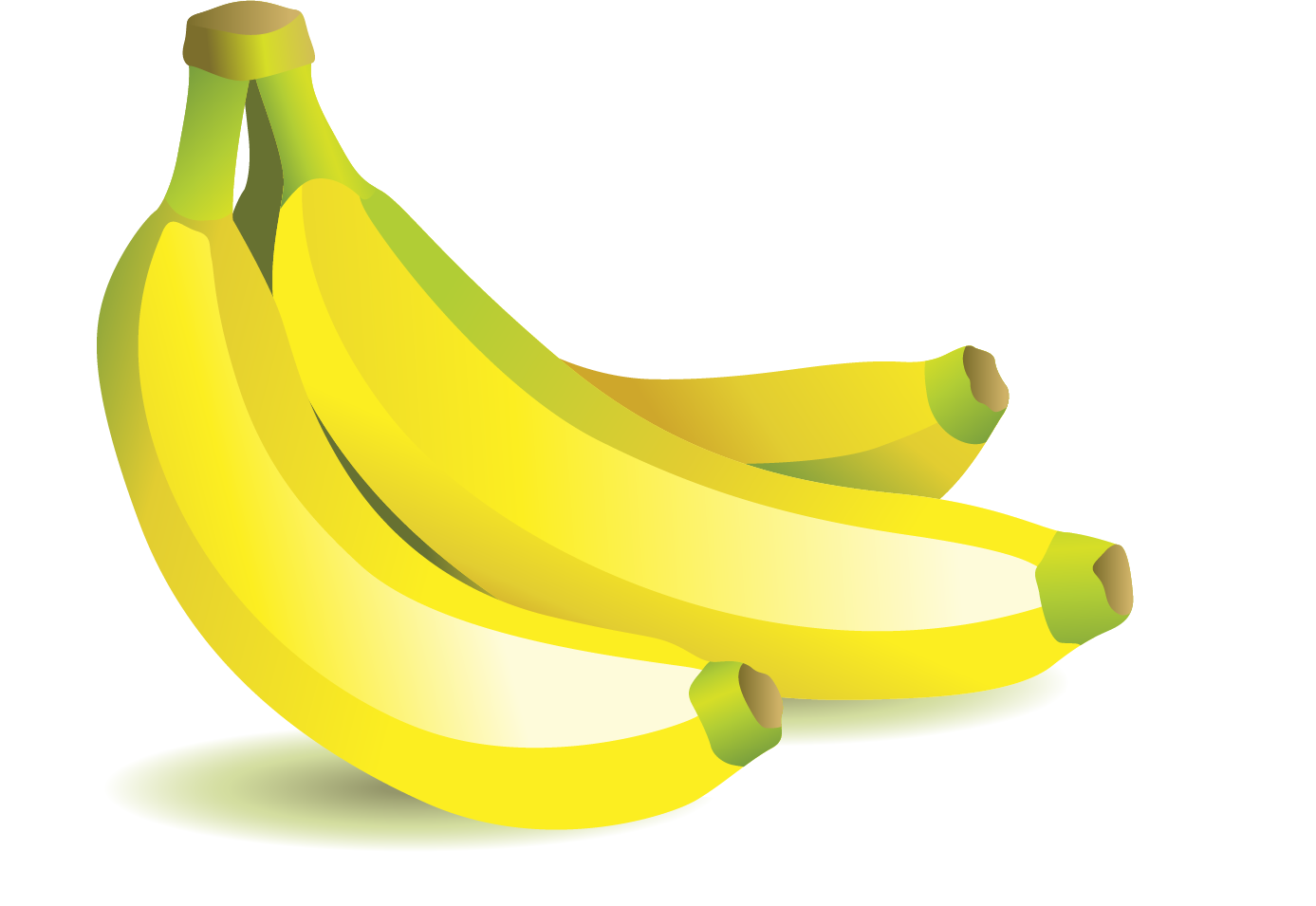 Clusterof Yellow Bananas Vector Illustration PNG