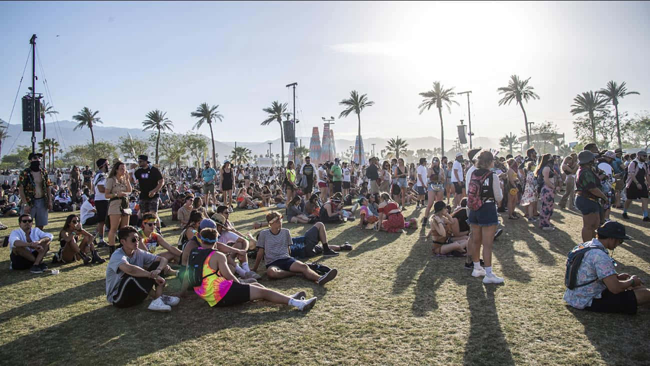 Join the fun at the world-famous Coachella Music Festival!