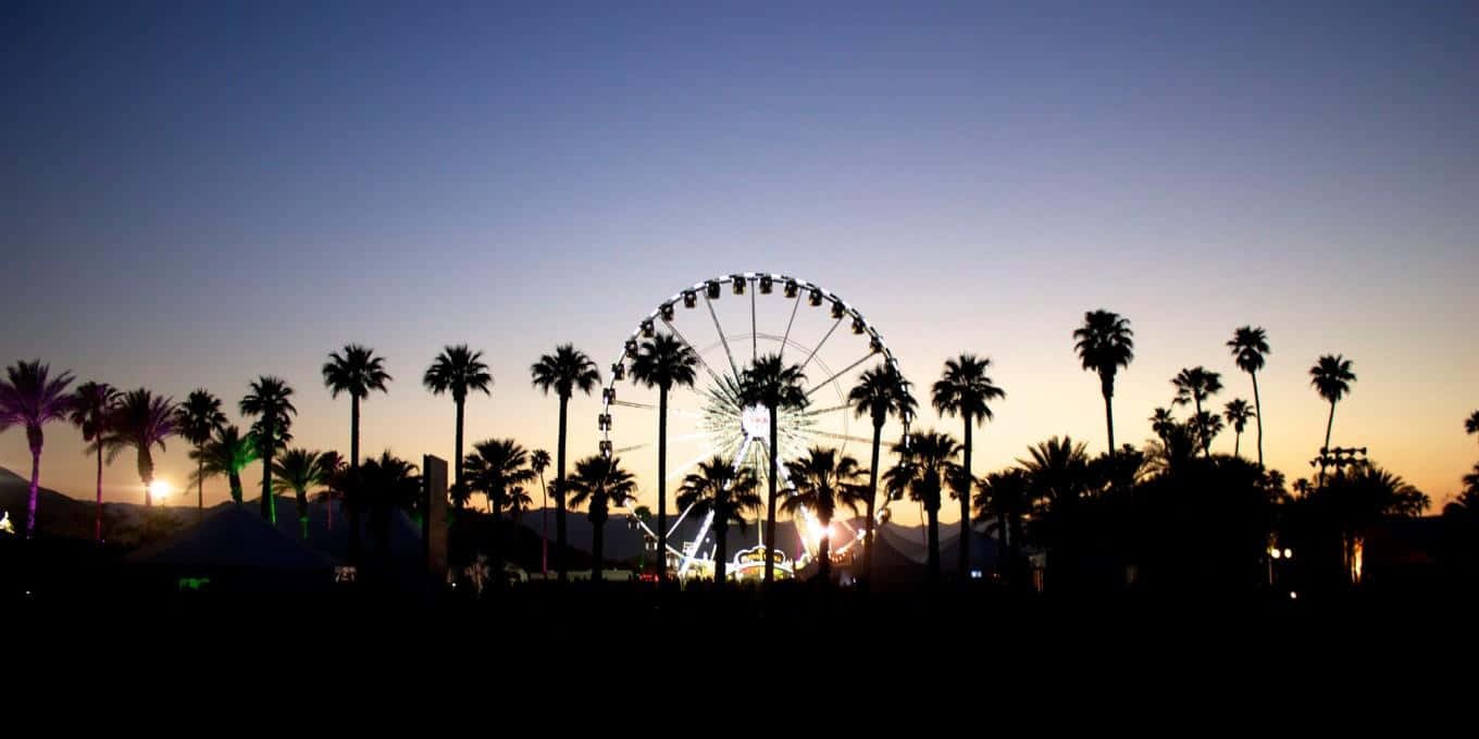 Coachella 2019 HD phone wallpaper  Pxfuel