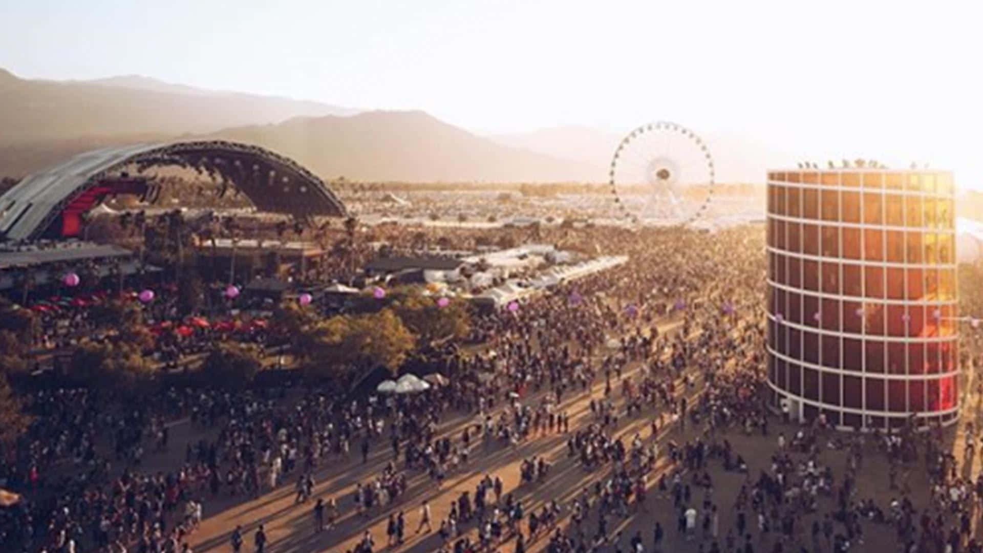 Rock and Roll with the Best of Coachella