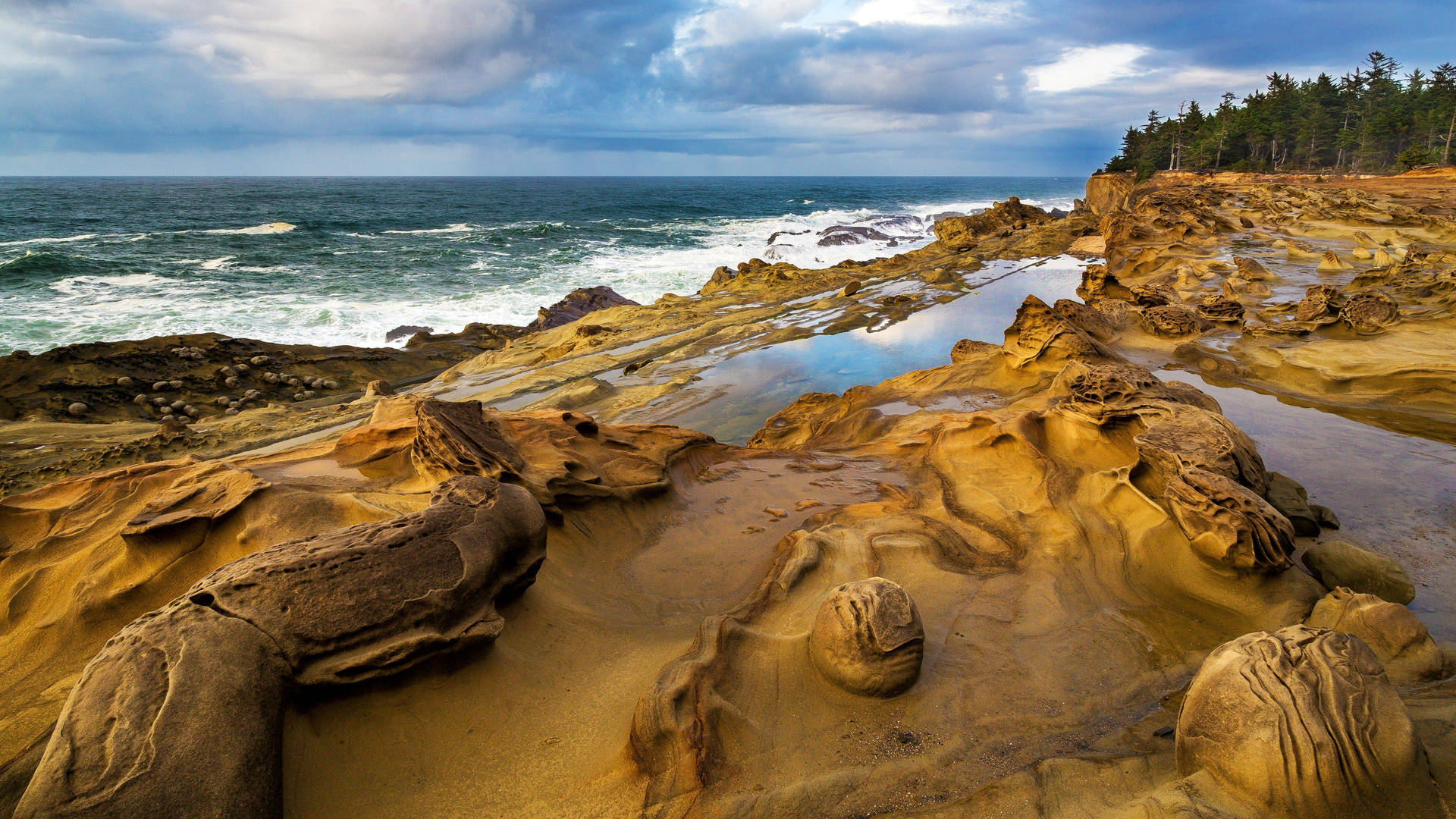 Coastal Beach Rocks