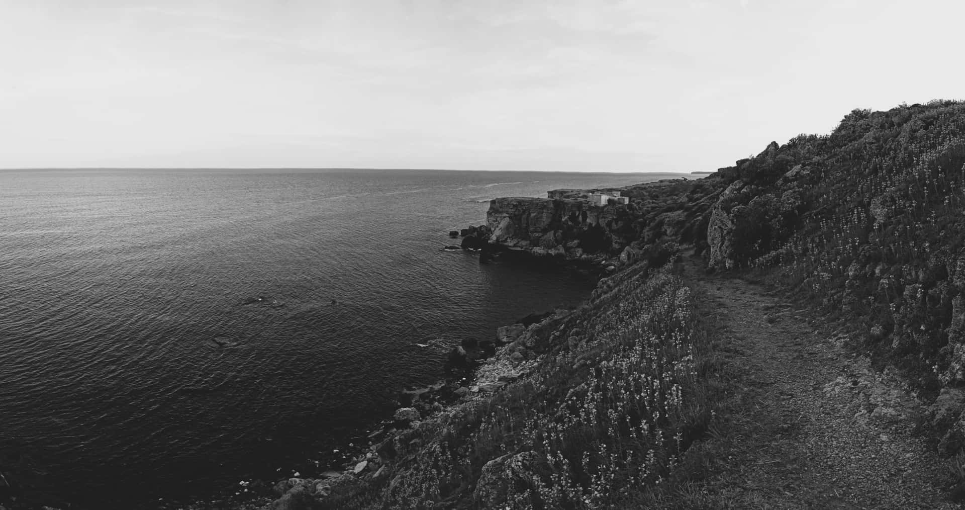 Coastal_ Cliffside_ Black_and_ White Wallpaper