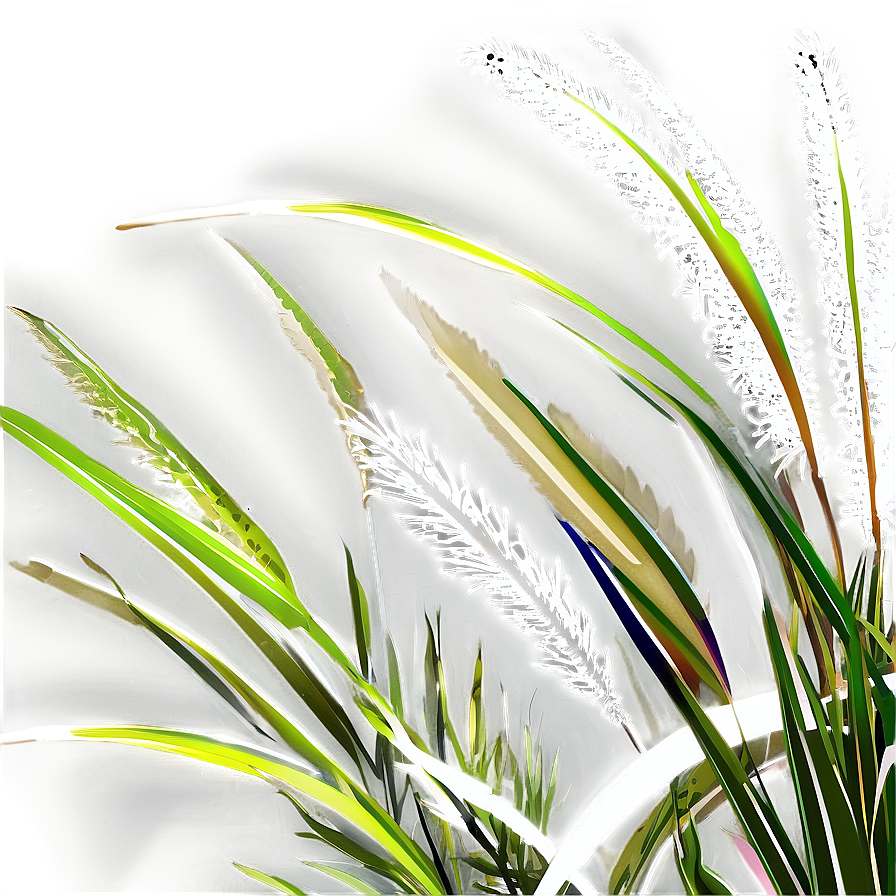 Coastal Ornamental Grass Png Xfs PNG
