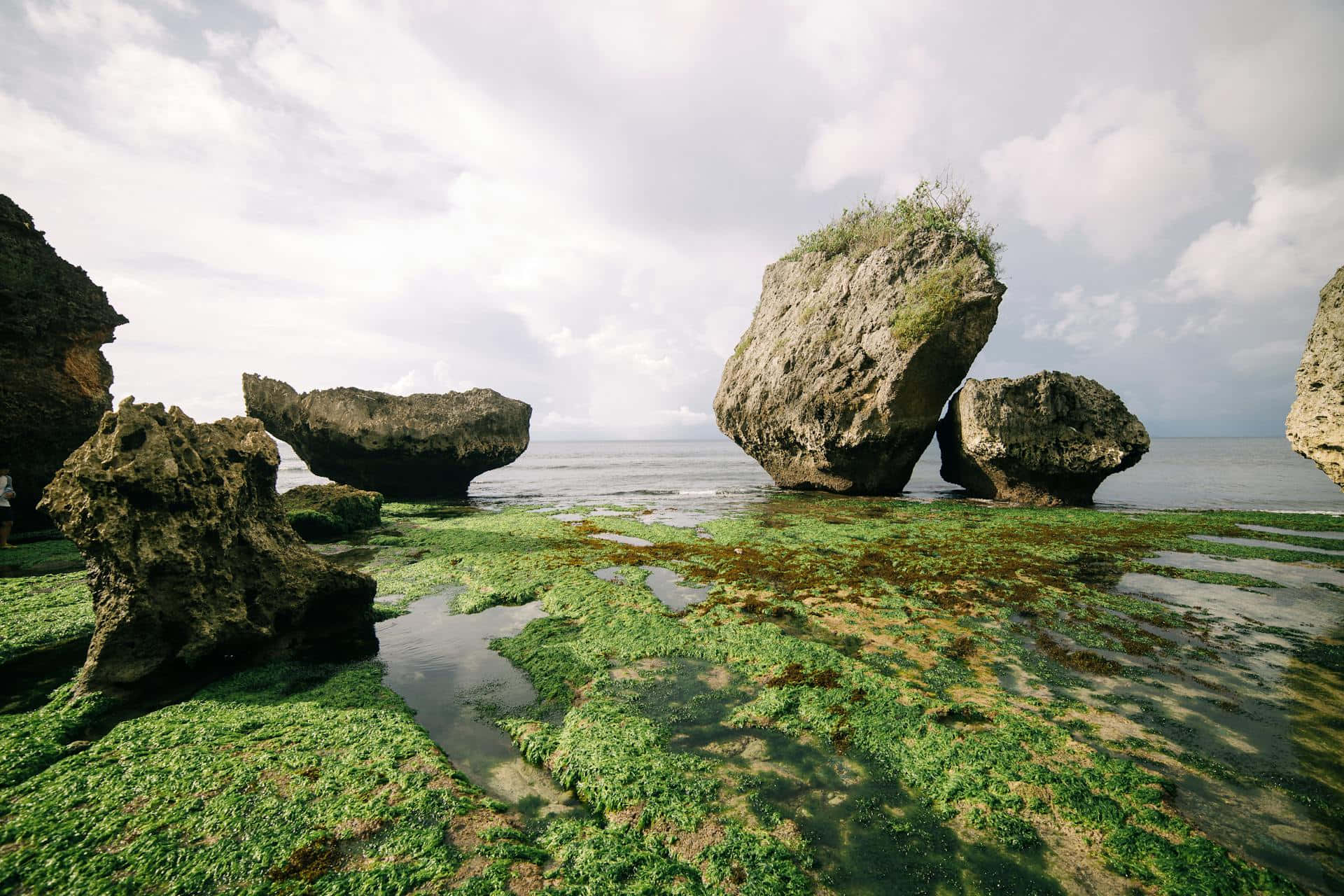 Coastal_ Rocks_and_ Seagrass.jpg Wallpaper