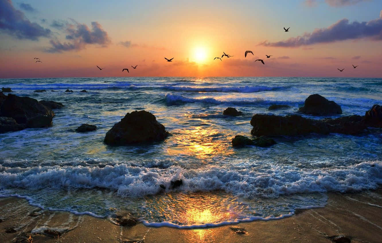 Serene Coastal Sunset Wallpaper