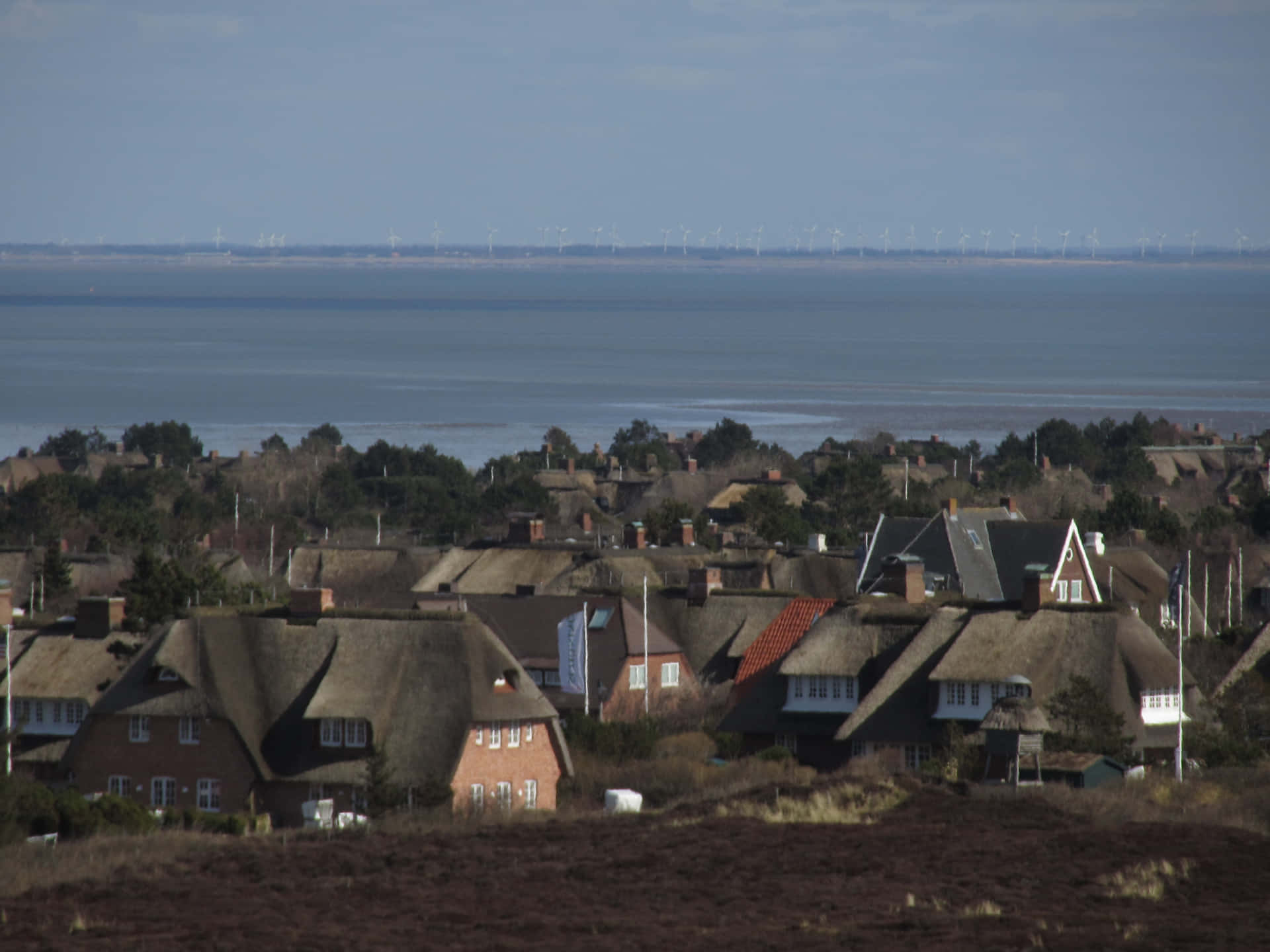 Coastal Town Overlooking Sea Wallpaper