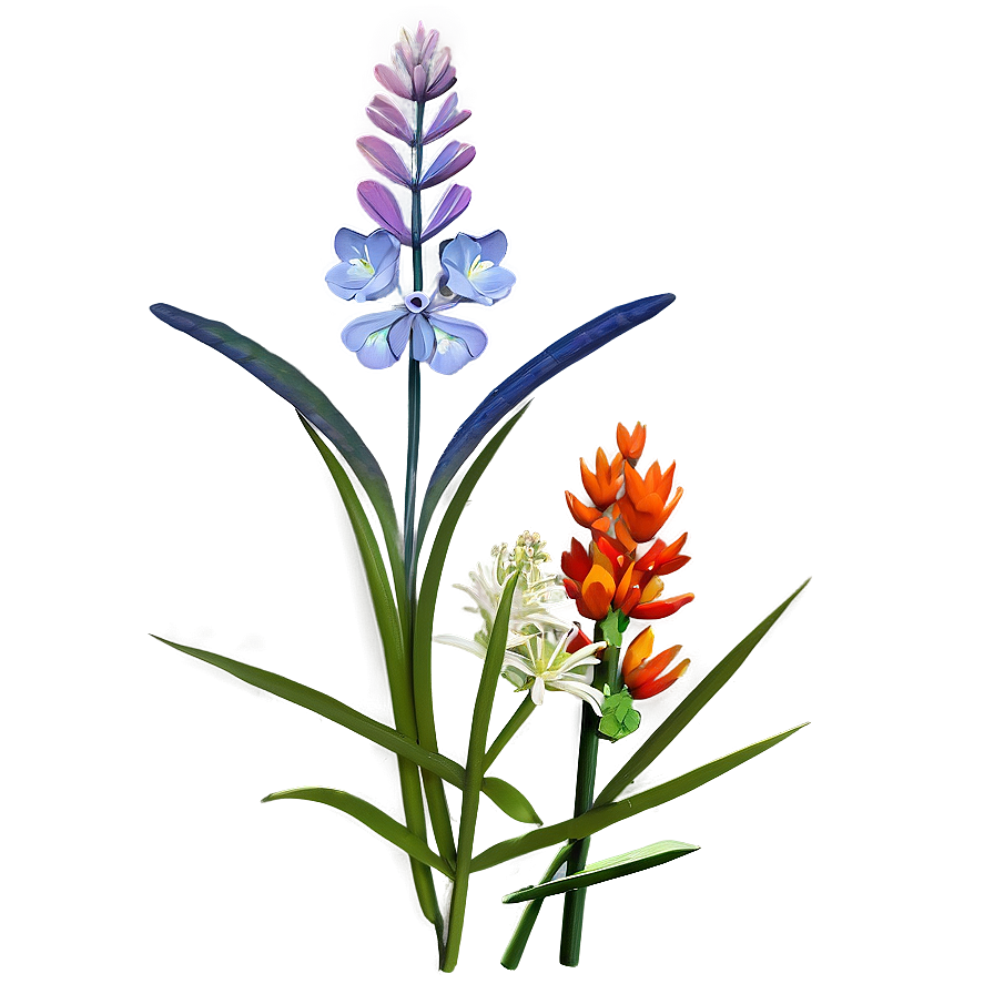 Coastal Wildflowers Scene Png Wkc72 PNG