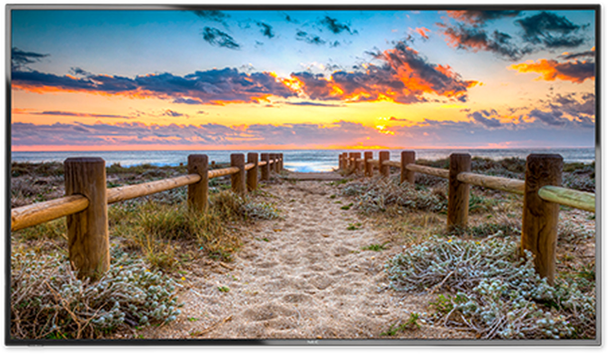Coastal_ Sunset_ Pathway.jpg PNG