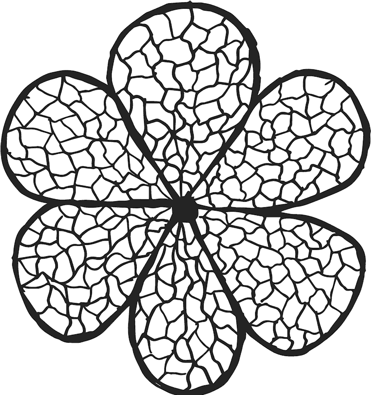 Cobblestone Flower Pattern Graphic PNG