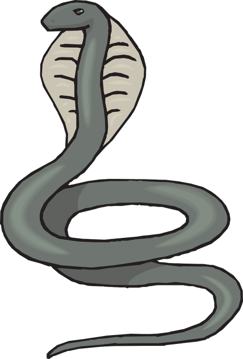 Cobra Illustration.png PNG