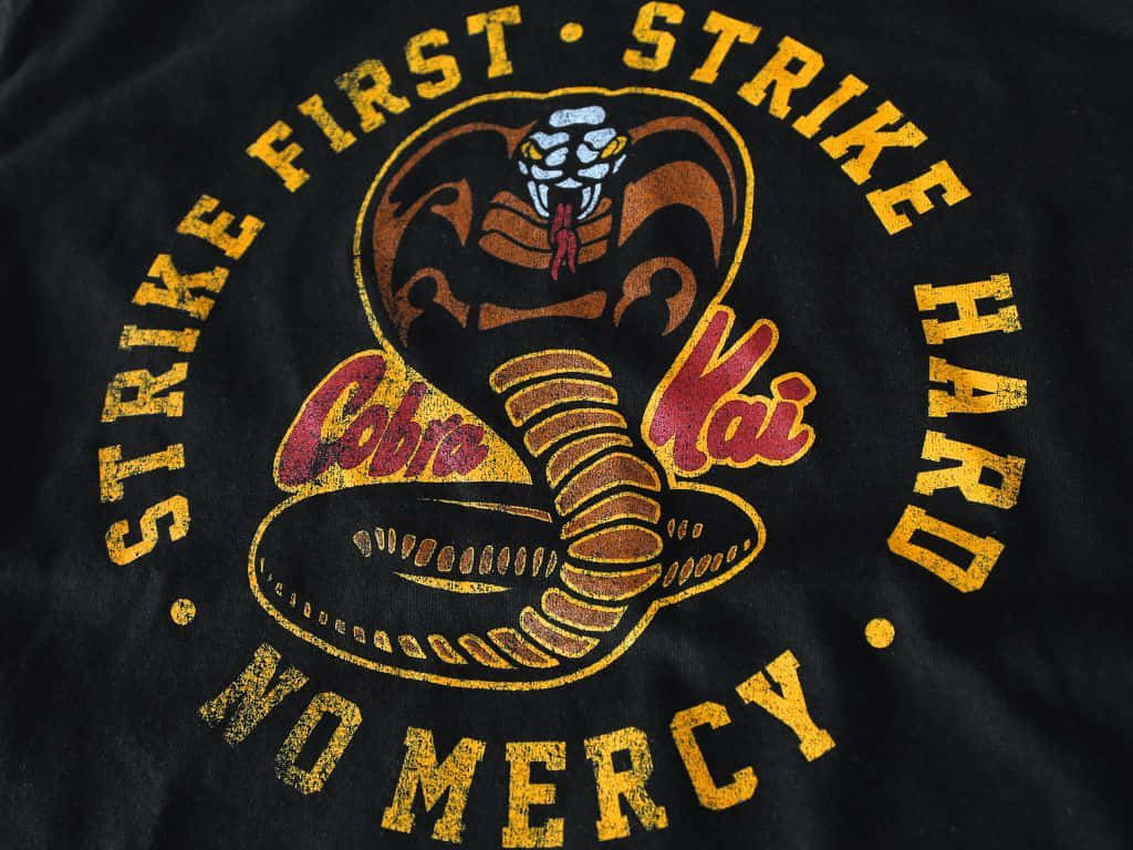 Red and Black are the Colors of Cobra Kai