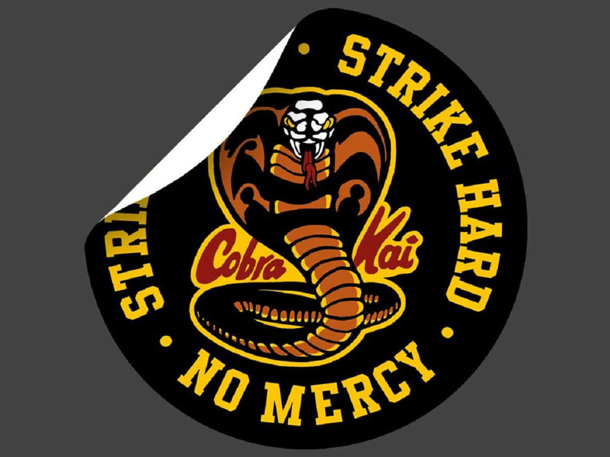 Cobra Kai never dies | Cobra kai wallpaper, Cobra kai dojo, Karate kid  cobra kai