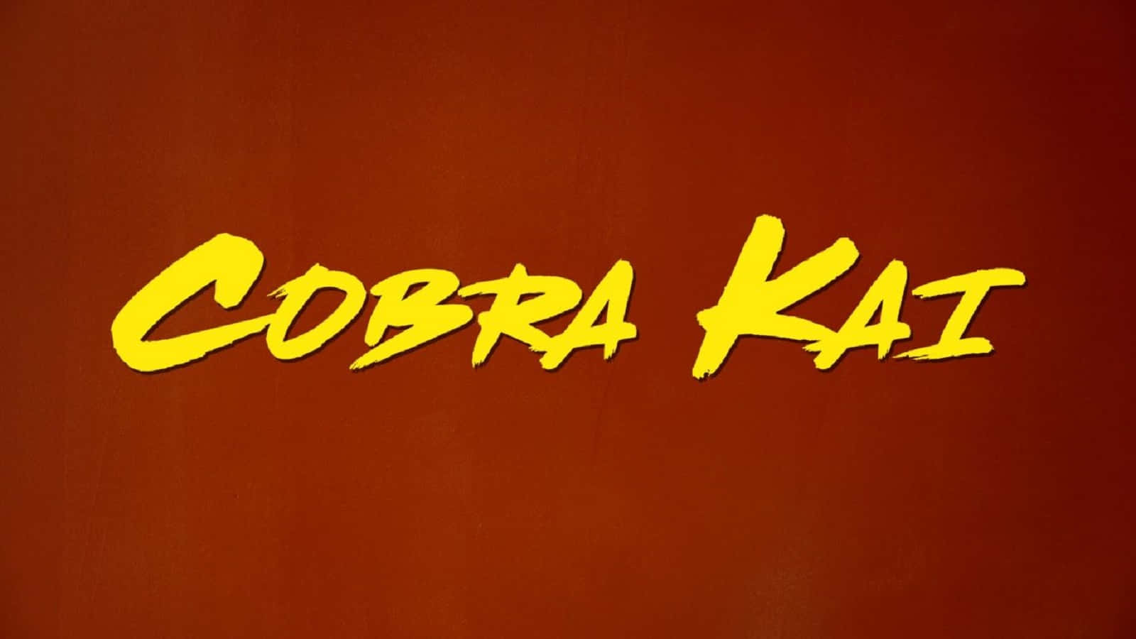 " Follow along with the students of Cobra Kai dojo as they battle their way to the top in the rigorous Karate Championships"
