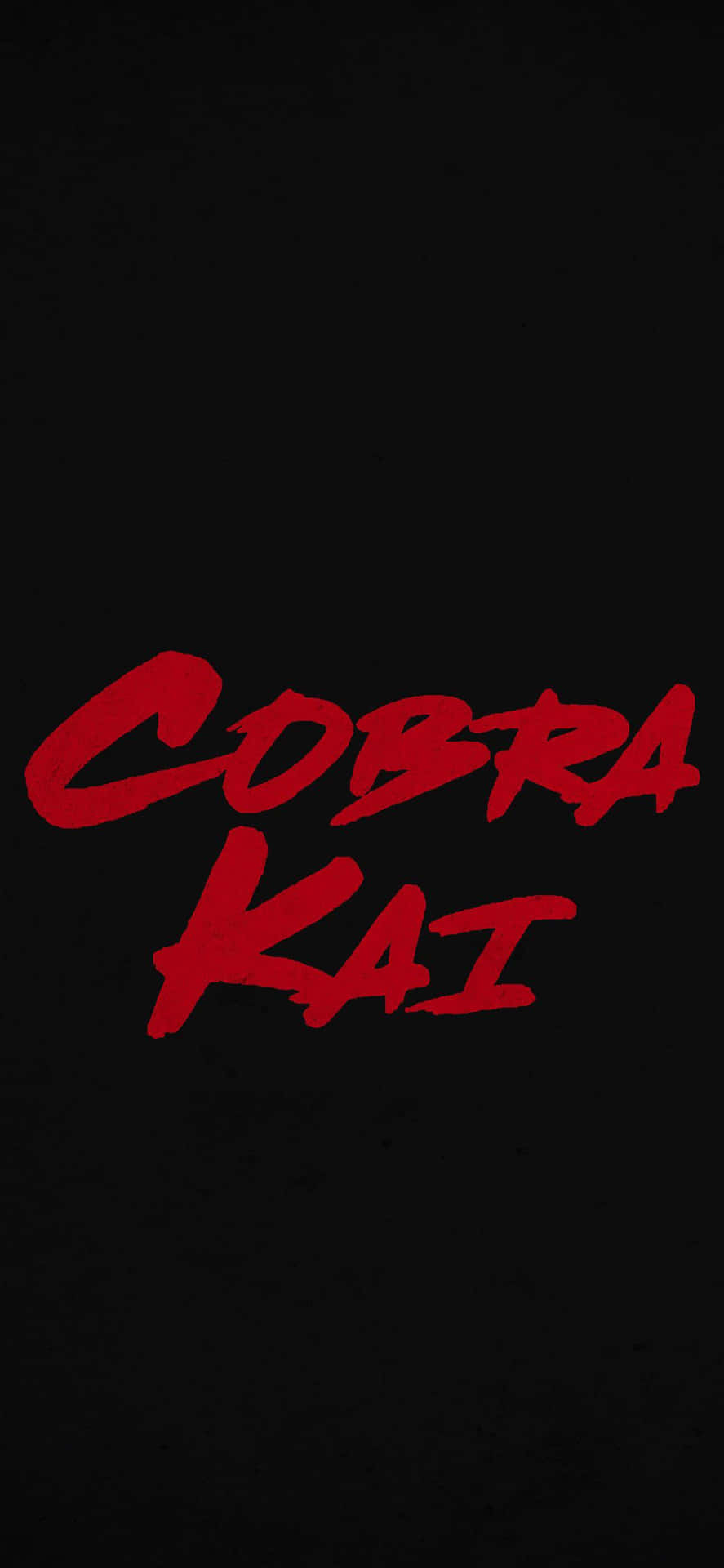 Cobrakai Iphone Xr Titelbakgrund.