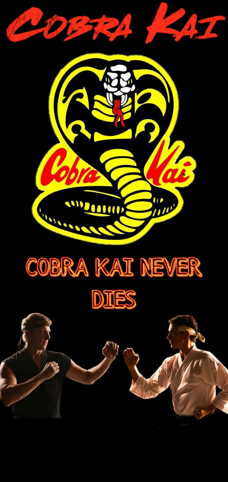 "Rise Up with this Official Cobra Kai iPhone Xr Background"