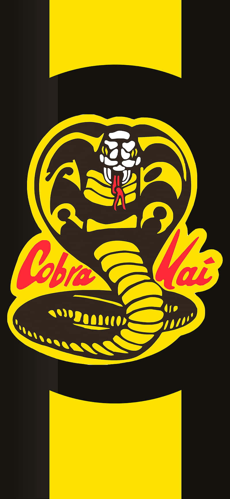 Kom ind i kampen med Cobra Kai iPhone Xr tapet.