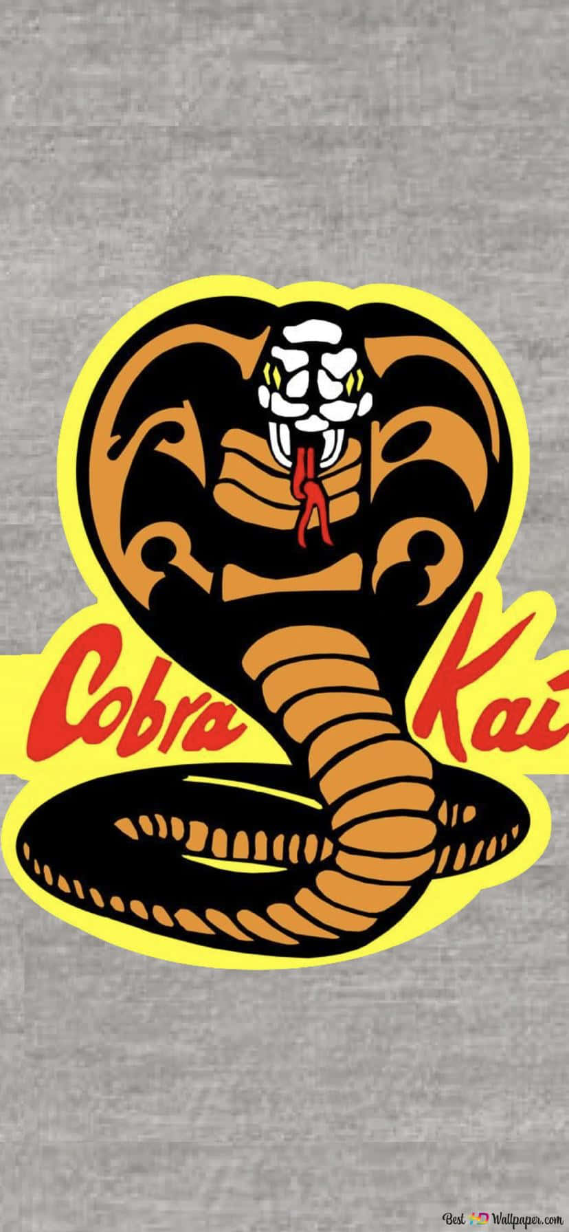 Fådet Bästa Av Två Världar Med Cobra Kai Iphone Xr Som Bakgrundsbild På Din Dator Eller Mobiltelefon.