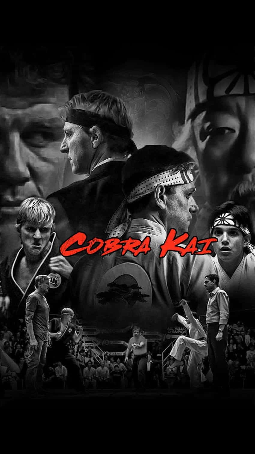 Cobrakai Plano De Fundo Do Karate Kid Para Iphone Xr.