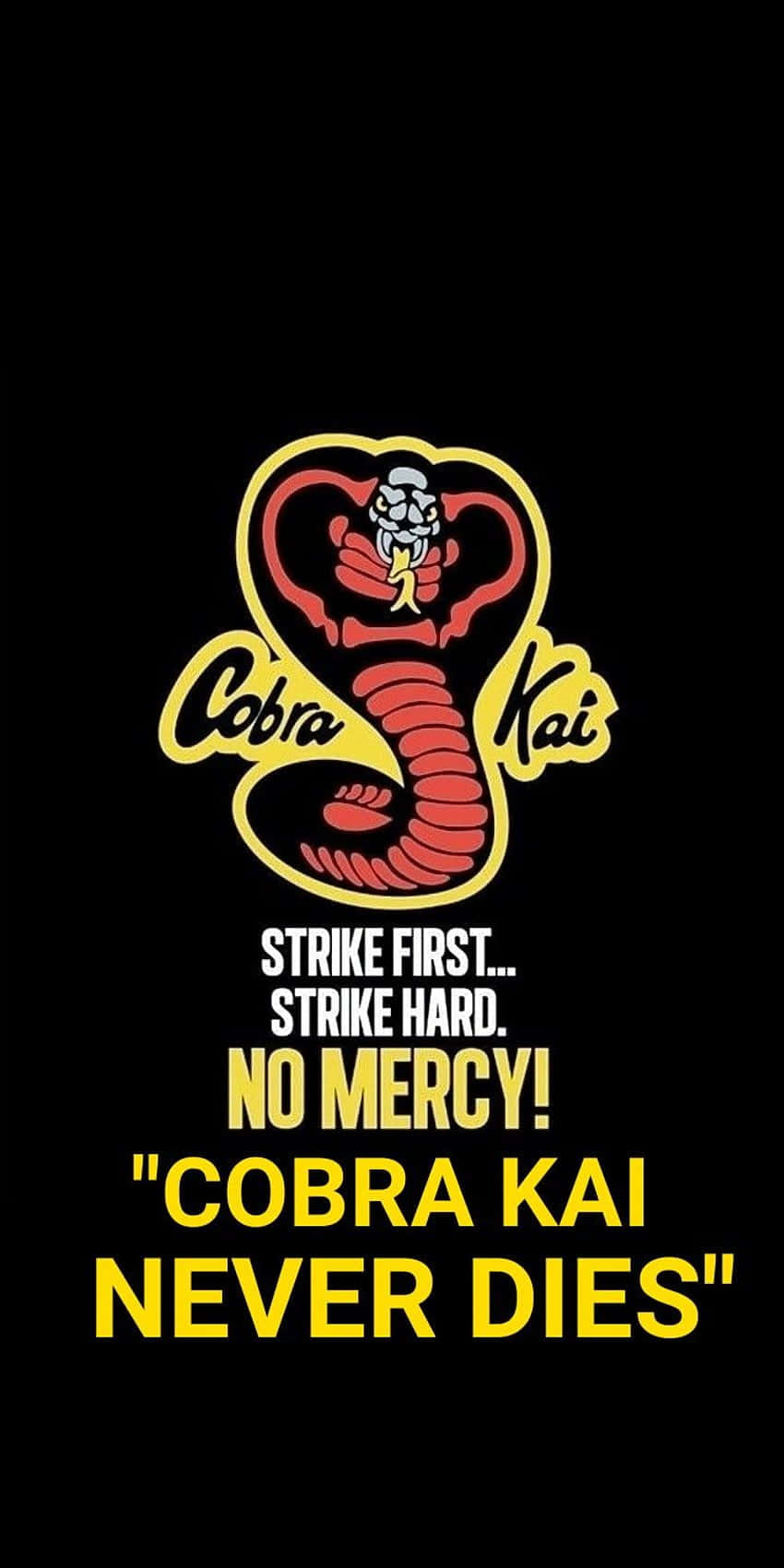 Fondode Pantalla Con Eslogan De Cobra Kai Para Iphone Xr.