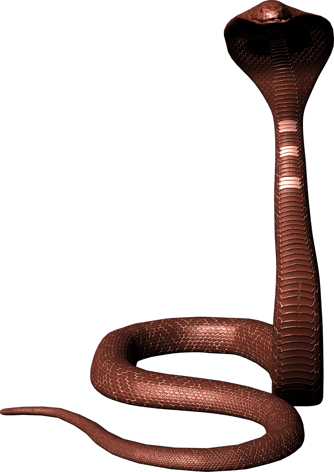 Cobra Snake Raised Hood PNG