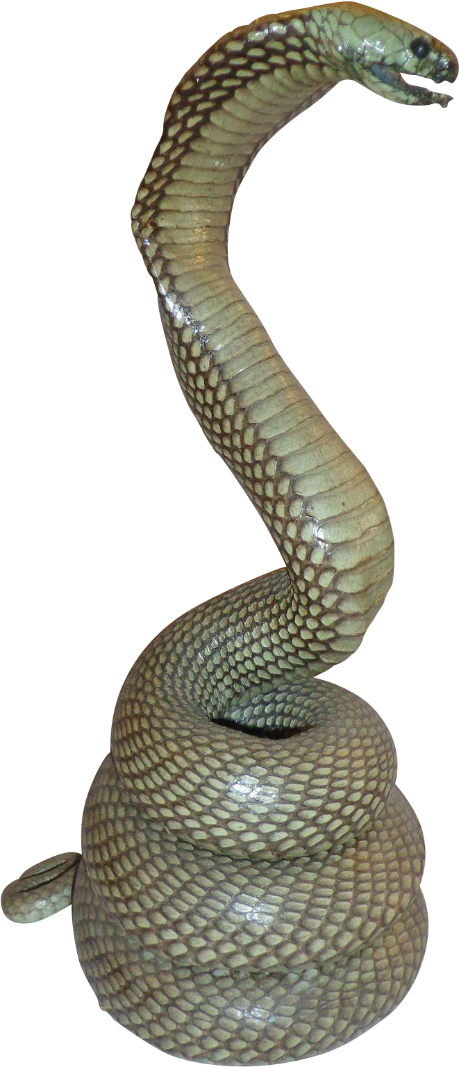 Cobrain Defense Posture PNG