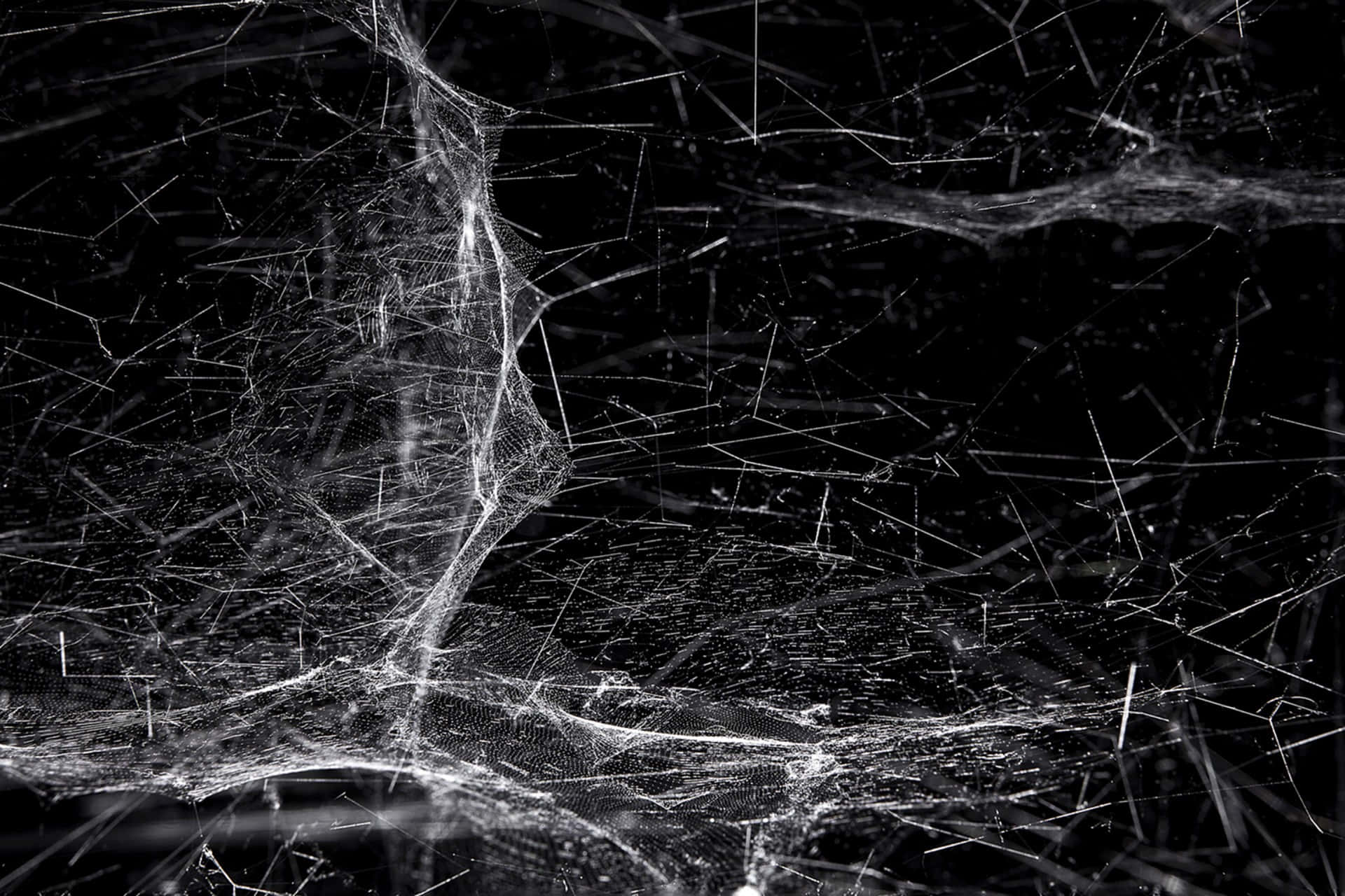 Intricate Cobwebs on a Mysterious Background Wallpaper
