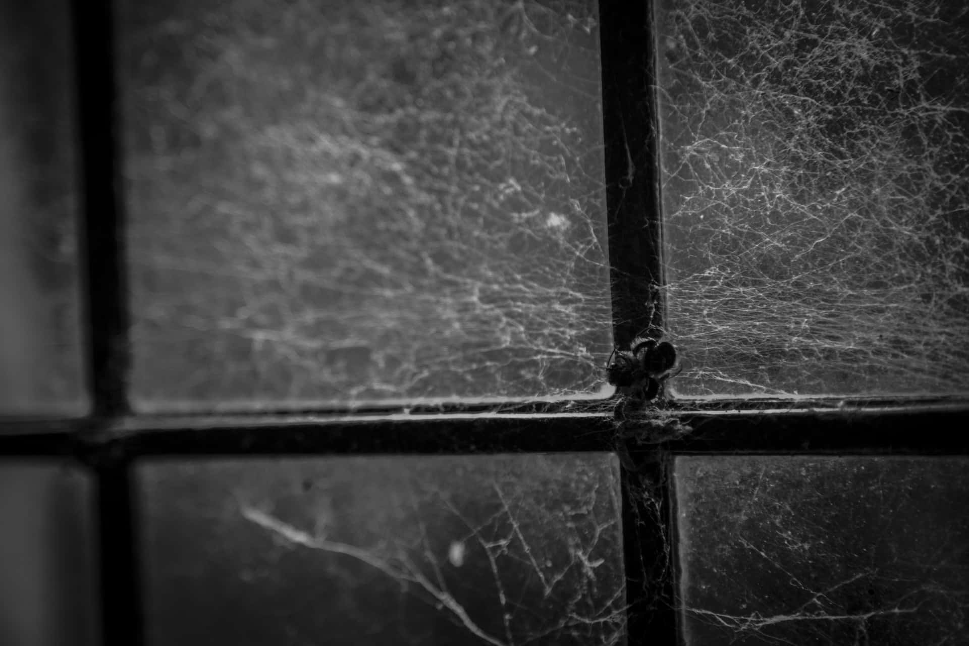 Mystical cobwebs glistening in the dark Wallpaper